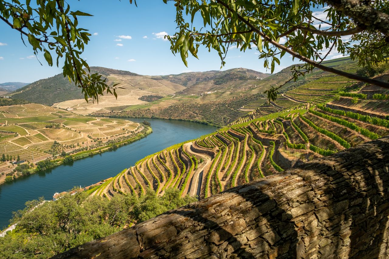 Coimbra → Douro Valley